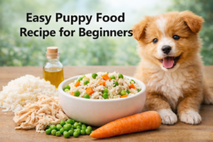 Easy Puppy Food Recipe for Beginners