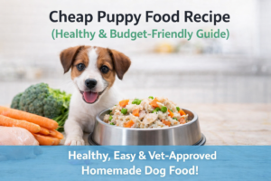 Cheap Puppy Food Recipe (Healthy, Easy & Budget-Friendly Homemade Dog Food)