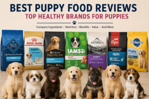 Best Puppy Food Reviews: Top Brands Compared for Healthy Growth and Nutrition