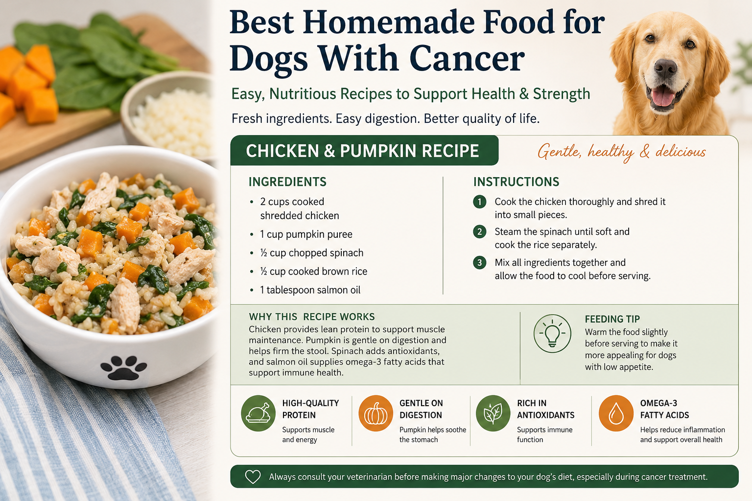 Best homemade food for dogs with cancer recipe with chicken pumpkin and rice