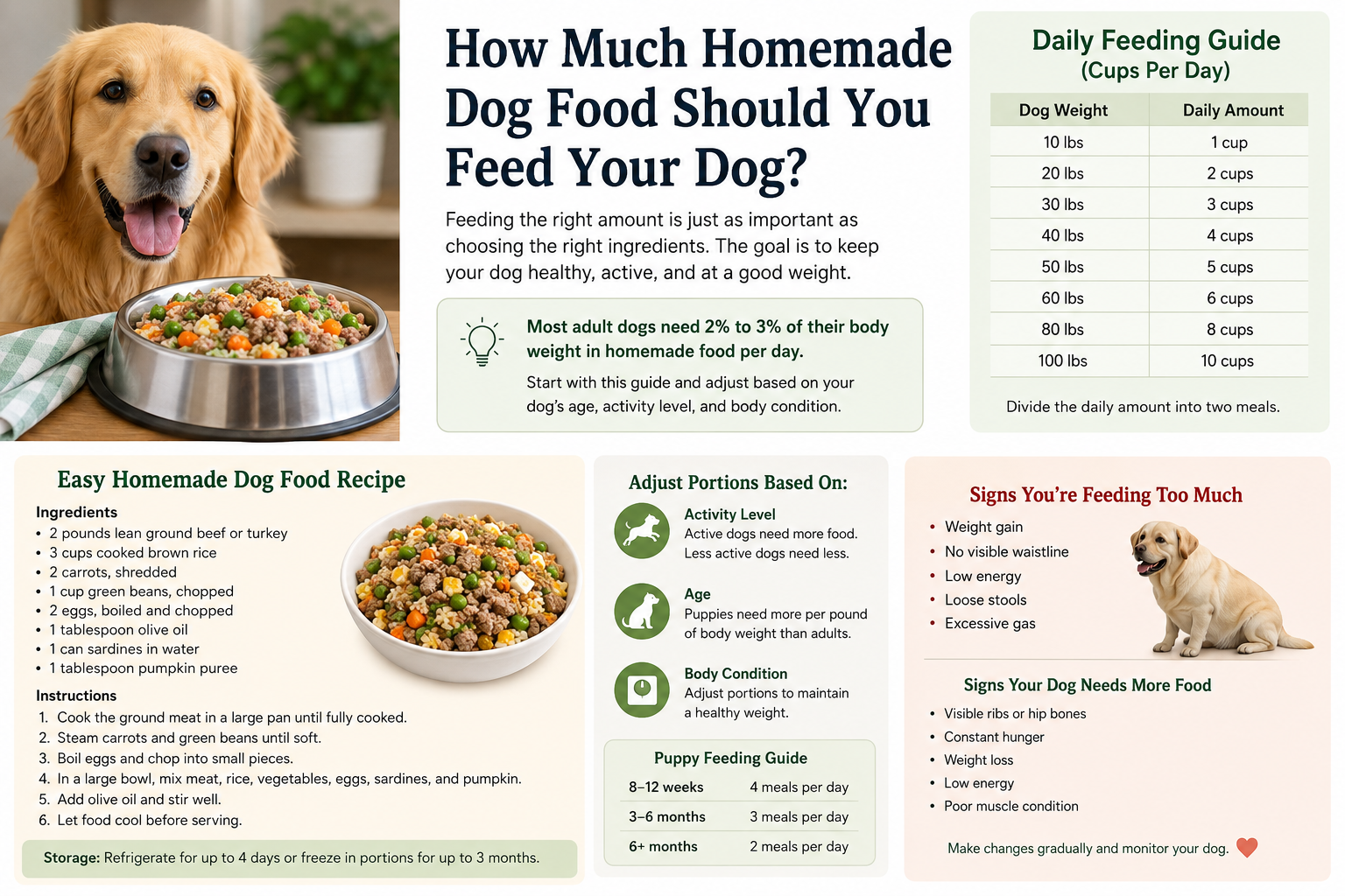 healthy homemade dog food in bowls with feeding portions for dogs